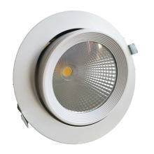 TUV Ce Approved 15W Orientable LED Down Light